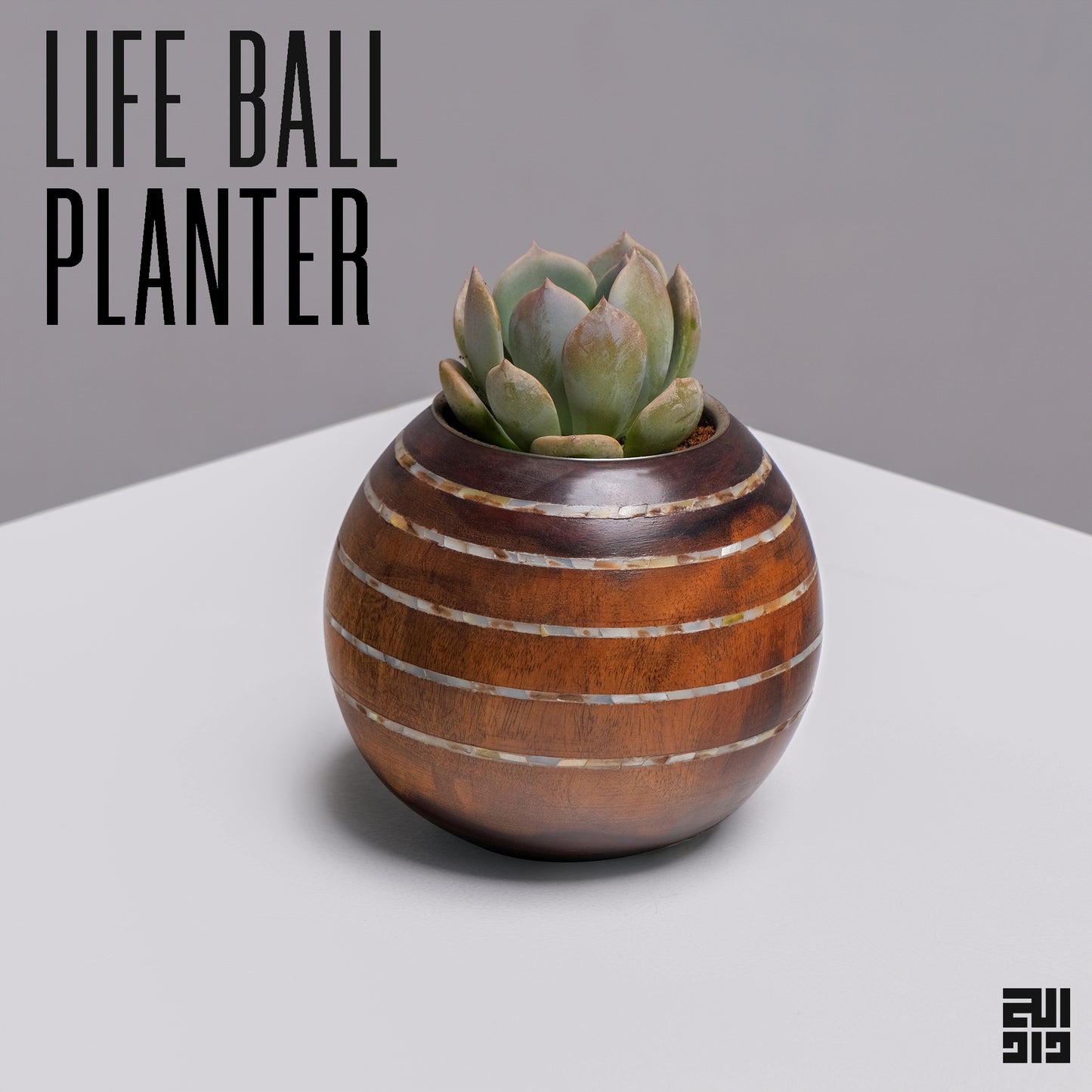 Life Ball Planter