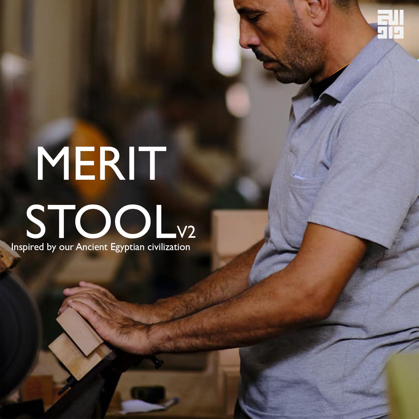 Merit stool