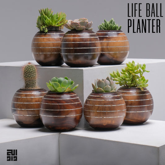 Life Ball Planter