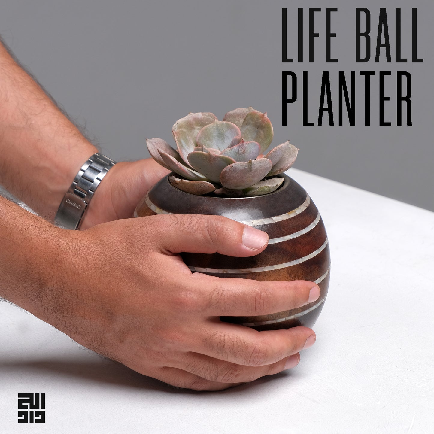 Life Ball Planter