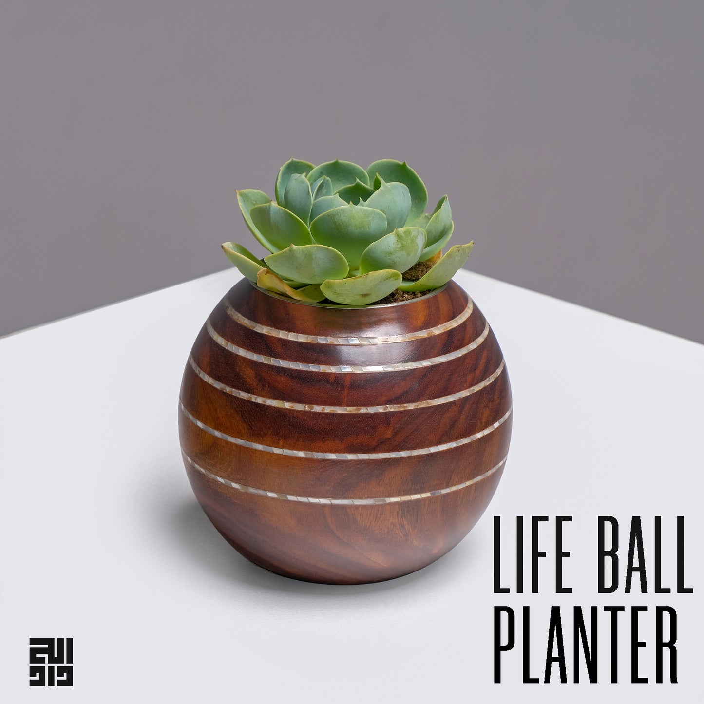 Life Ball Planter