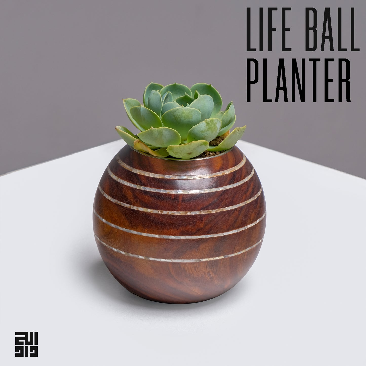 Life Ball Planter