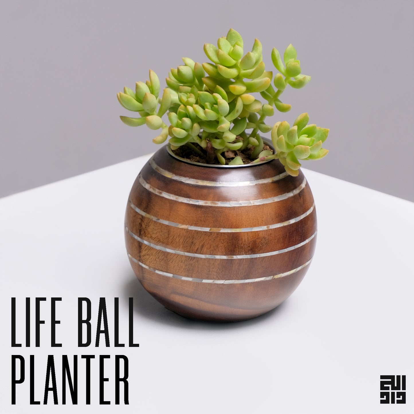 Life Ball Planter