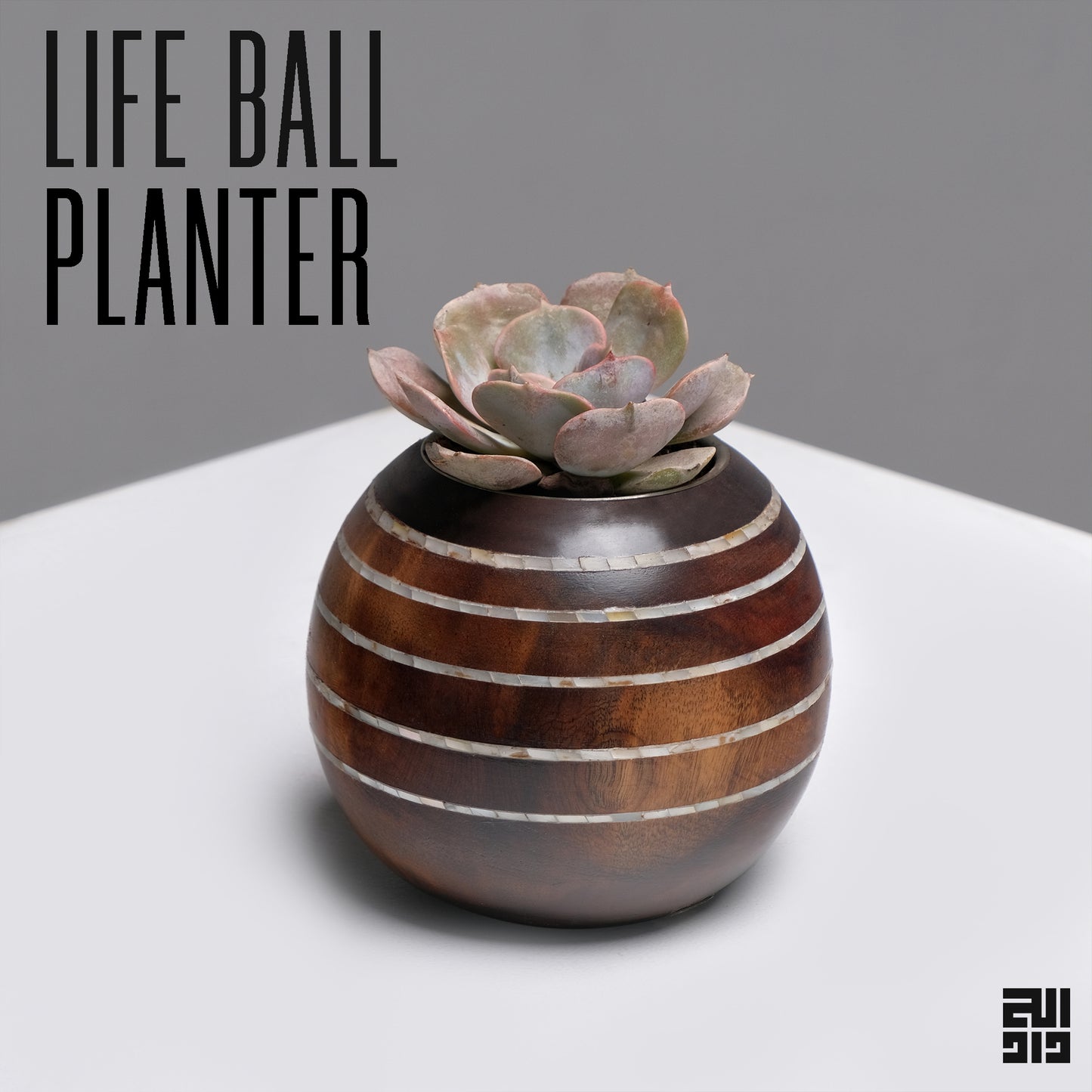 Life Ball Planter